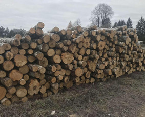 Malkos rasteliais iš pirmų rankų. - Aplinka, sodas - 2 Aplinka, sodas - Malkos rasteliais iš pirmų rankų. - 2