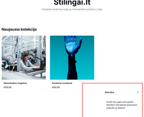 Nestandartiniai interneto sprendimai verslui / IĮ Didinam pardavimus / Donaldas Jautžemis / Darbų pavyzdys ID 3785462