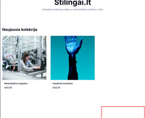 Nestandartiniai interneto sprendimai verslui / IĮ Didinam pardavimus / Donaldas Jautžemis / Darbų pavyzdys ID 3785464