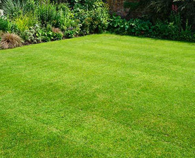 Apželdinimas. Laistymo sistemos ir apšvietimas - Aplinka, sodas - 4 Aplinka, sodas - Apželdinimas. Laistymo sistemos ir apšvietimas - 4