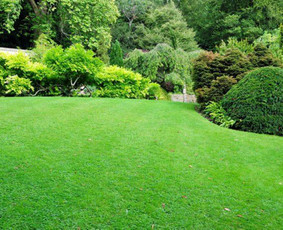 Apželdinimas. Laistymo sistemos ir apšvietimas - Kiemo, aplinkos apželdinimas - 2 Kiemo, aplinkos apželdinimas - Apželdinimas. Laistymo sistemos ir apšvietimas - 2