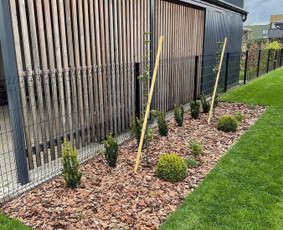 Apželdinimo konsultacija - Kra&scaron;tovaizdžio projektavimas ir įgyvendinimas - 3