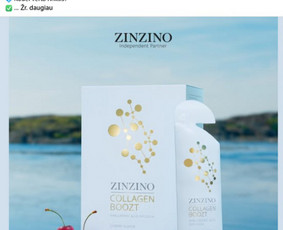 Socialiniai tinklai kurie padeda uždirbti daugiau / Pagalvosiu.lt / Darbų pavyzdys ID 3787848