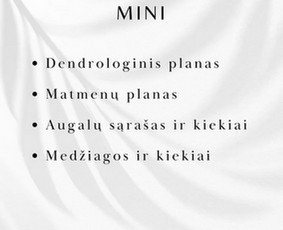 Kraštovaizdžio projektavimas ir įgyvendinimas / Emilė Brazytė / Darbų pavyzdys ID 3787850