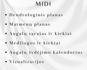 Kraštovaizdžio projektavimas ir įgyvendinimas / Emilė Brazytė / Darbų pavyzdys ID 3787852