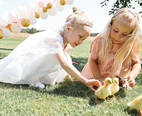 Asmeninės, šeimos, įvairių švenčiu fotografavimas / Inga Vaišvilienė / Darbų pavyzdys ID 3788482