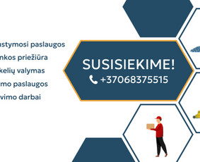 Grafikos Web Ux/ui dizainas / Gabrielė Avgustaitytė / Darbų pavyzdys ID 3788504
