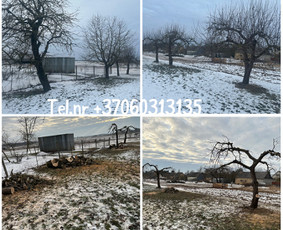 Medžių genėjimas*gyvatvorių karpymas*aplinkos tvarkymas / Zigmas / Darbų pavyzdys ID 3790010