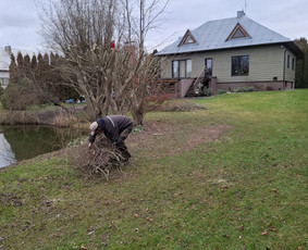 Apželdinimo ir augalų priežiūros paslaugos. Augalų prekyba. - Šakų išvežimas - 3 Šakų išvežimas - Apželdinimo ir augalų priežiūros paslaugos. Augalų prekyba. - 3
