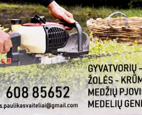 Aplinkos tvarkymo darbai - Medžių genėjimas, pjovimas - 3 Medžių genėjimas, pjovimas - Aplinkos tvarkymo darbai - 3