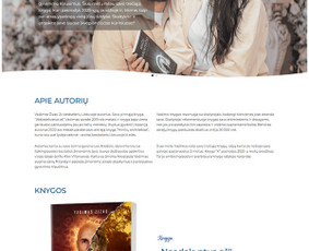 Interneto svetainių kūrimas - Interneto svetainių, parduotuvių kūrimas nuo 149 eur! - 3