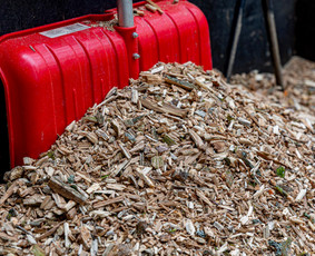 Šakų smulkinimas - Medžių pjovimas, genėjimas. Arboristo paslaugos - 3
