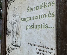 Gidė nuo Ukmergės . Autorinės, individualios ekskursijos / Svetlana Markevičienė / Darbų pavyzdys ID 3793646