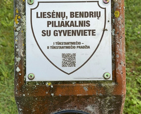 Gidė nuo Ukmergės . Autorinės, individualios ekskursijos / Svetlana Markevičienė / Darbų pavyzdys ID 3793724