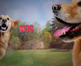 Video montavimos paslaugos + thumbnails / Mantas Kiguolis / Darbų pavyzdys ID 3796680