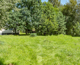 NT brokeris – Sigitas Žiaunys / NT Brokeris Sigitas Žiaunys / Darbų pavyzdys ID 3800134
