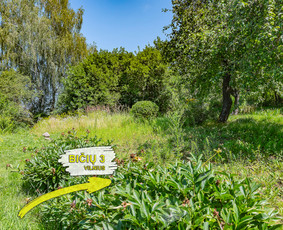 NT brokeris – Sigitas Žiaunys / NT Brokeris Sigitas Žiaunys / Darbų pavyzdys ID 3800140