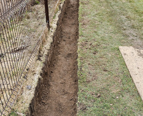 Sklypo želdinių projektavimas, įrengimas ir priežiūra - Augalų ir medelių sodinimas - 3 Augalų ir medelių sodinimas - Sklypo želdinių projektavimas, įrengimas ir priežiūra - 3