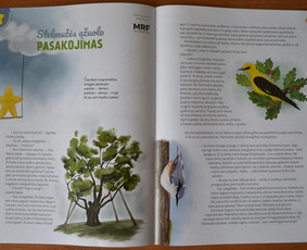 Dailininkė, iliustratorė, grafikos dizainerė Kaune / Rūta / Darbų pavyzdys ID 3801930