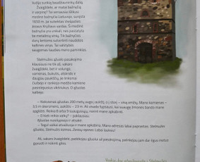 Dailininkė, iliustratorė, grafikos dizainerė Kaune / Rūta / Darbų pavyzdys ID 3801932