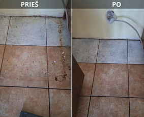 Puiki švara jūsų namuose! / Дарья Приймак / Darbų pavyzdys ID 3803484
