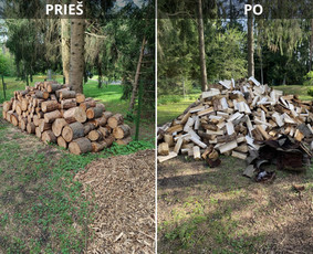 Sklypų tvarkymas: medžių ir krūmų pjovimas su išvežimu. / Albertas Rakuckis / Darbų pavyzdys ID 3803588