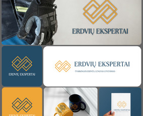 Grafikos Web Ux/ui dizainas / Gabrielė Avgustaitytė / Darbų pavyzdys ID 3803852