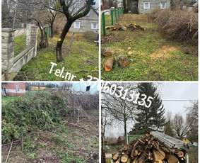 Vejos pjovimas-aplinkos priežiūra, tvarkymas. / Zigmas / Darbų pavyzdys ID 3804104