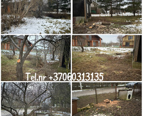 Vejos pjovimas-aplinkos priežiūra, tvarkymas. / Zigmas / Darbų pavyzdys ID 3804106