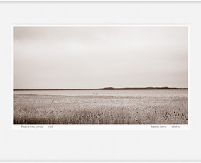 Nekilnojamas turtas. Dronas. Portretai. Reklama. / Robertas / Darbų pavyzdys ID 3804246