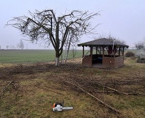 Skarifikavimas(aeravimas) , žolės pjovimas / Ramūno sodo darbai / Darbų pavyzdys ID 3804272