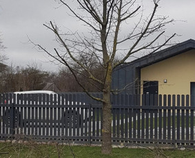 Skarifikavimas(aeravimas) , žolės pjovimas / Ramūno sodo darbai / Darbų pavyzdys ID 3804294