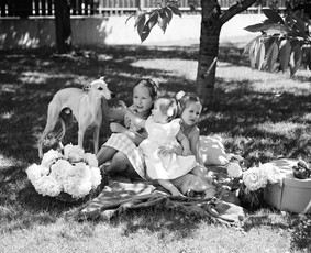 Fotografė Kaune / Simona Tiškė / Darbų pavyzdys ID 3804306