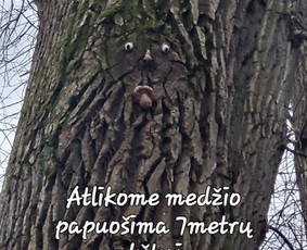 Medžių genėjimas, Medžių pjiovimas / Alytaus medkirtys / Darbų pavyzdys ID 3804532