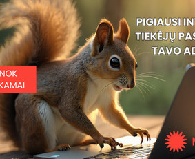 Grafikos dizaino paslaugos su Ai - Banerių kūrimas - 4 Banerių kūrimas - Grafikos dizaino paslaugos su Ai - 4