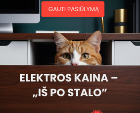 Grafikos dizaino paslaugos su Ai - Banerių kūrimas - 2 Banerių kūrimas - Grafikos dizaino paslaugos su Ai - 2