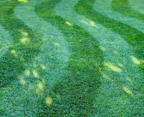 „coRe“ Aeracija,skarifikacija,vejos sėjimas, laistymas, - Žolės pjovimas - 2 Žolės pjovimas - „coRe“ Aeracija,skarifikacija,vejos sėjimas, laistymas, - 2