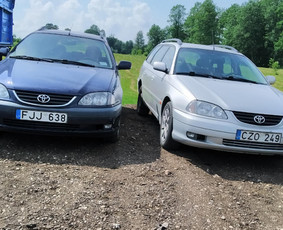 Toyota Avensis nuoma - Renginiai, šventės - 1 Renginiai, šventės - Toyota Avensis nuoma - 1