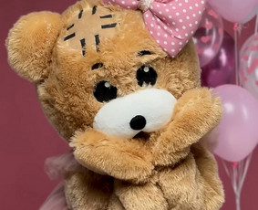Party Bear Lt - sveikinimus nuo meškiukų ir Mickey - Animatoriai, personažai vaikams - 4 Animatoriai, personažai vaikams - Party Bear Lt - sveikinimus nuo meškiukų ir Mickey - 4