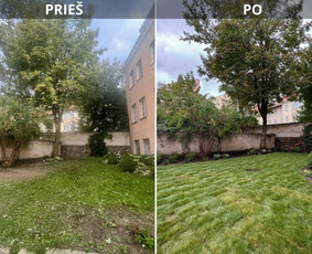 Kiemų/terasų/balkonų apželdinimas / Julija Kalinauskytė / Darbų pavyzdys ID 3808764