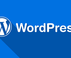 Svetainių ir el. parduotuvių programavimas - Programavimas su WordPress - 1 Programavimas su WordPress - Svetainių ir el. parduotuvių programavimas - 1