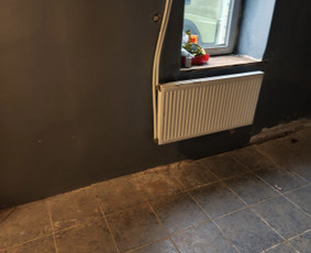 Namų valymas / Ausra / Darbų pavyzdys ID 3813922