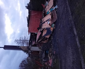 Statybos ir rekonstrukcijos darbai / Rasa / Darbų pavyzdys ID 3817244