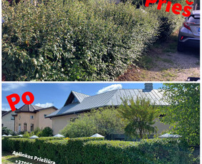 Aplinkos priežiūros darbai - Gyvatvorių karpymas - 1 Gyvatvorių karpymas - Aplinkos priežiūros darbai - 1