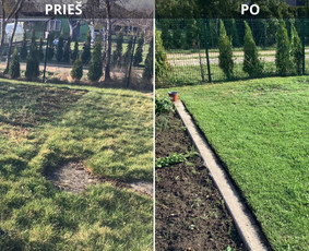 Aplinkos priežiūros darbai / MB "Bardis" / Darbų pavyzdys ID 3817404