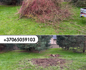 &Scaron;akų i&scaron;vežimas - Aplinkos priežiūros darbai - 1