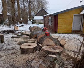 Aukštalipio darbai / Tomas Taluntis / Darbų pavyzdys ID 3817412