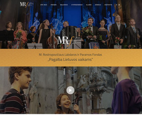 Internetinių svetainių kūrimas. 15+ metų patirtis / Senu/<as Design / Darbų pavyzdys ID 3817800