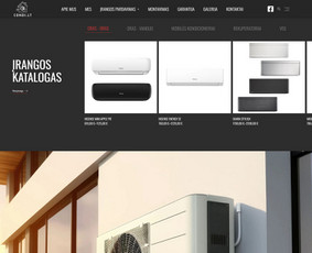 Internetinių svetainių kūrimas. 15+ metų patirtis / Senu/<as Design / Darbų pavyzdys ID 3817804