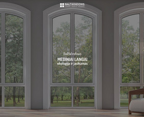 Internetinių svetainių kūrimas. 15+ metų patirtis / Senu/<as Design / Darbų pavyzdys ID 3817826